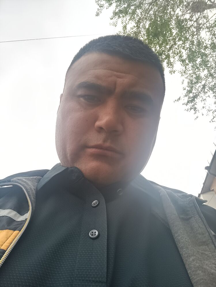  36157836  , 36 ,    