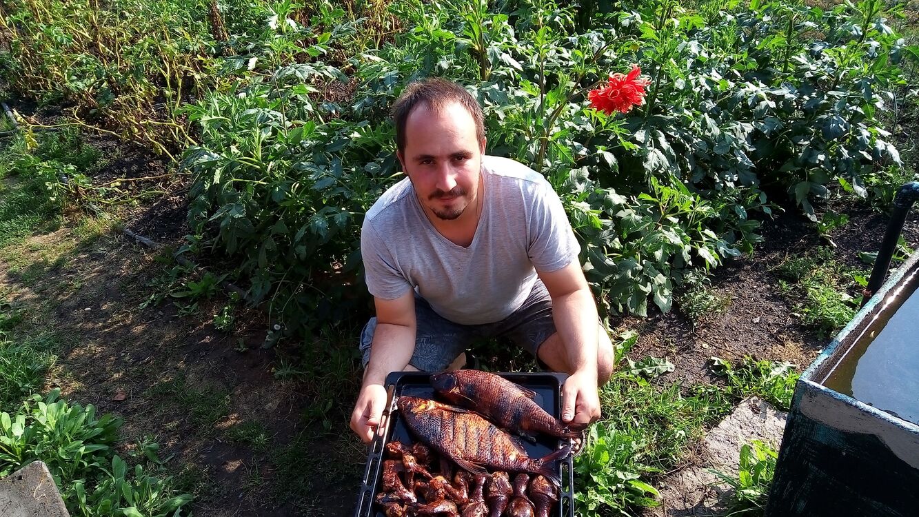  44735286  Dmitry, 36 ,    -