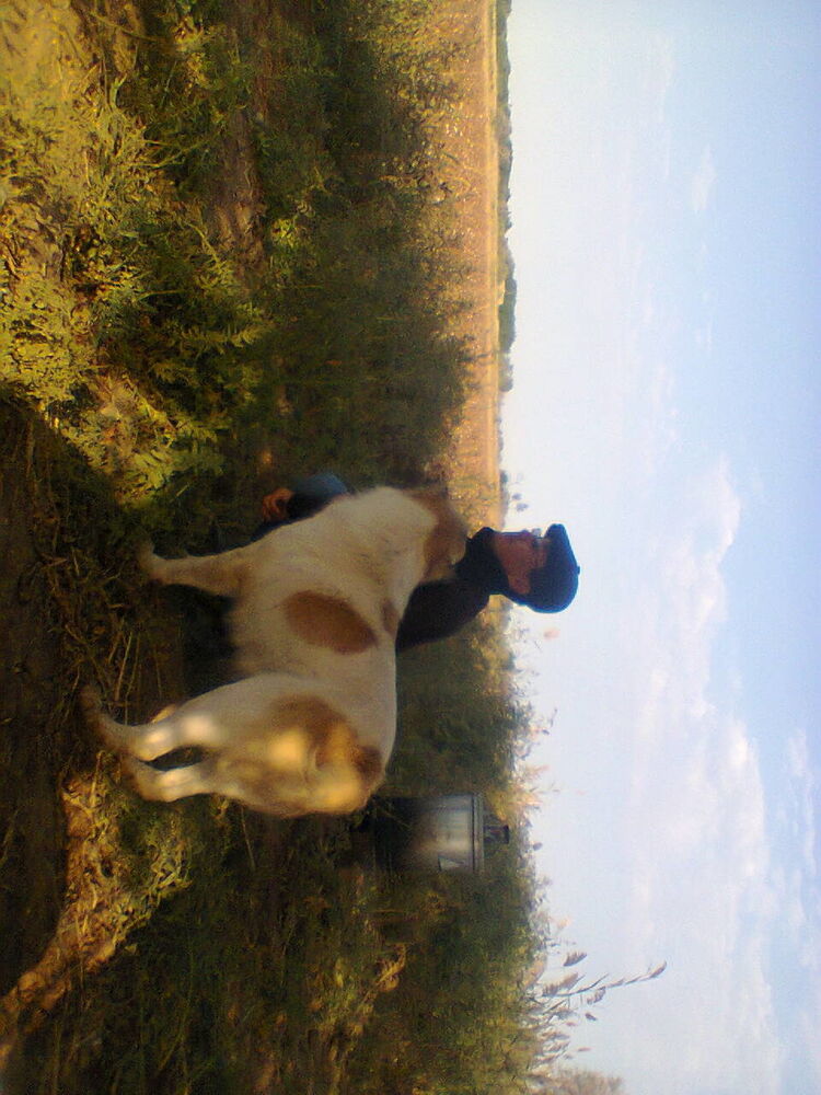  ,   Marat, 45 ,   ,   , c 