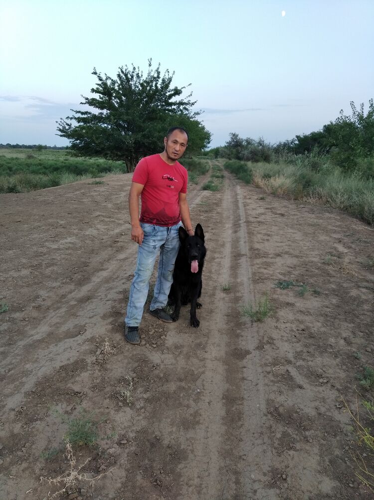 ���� 29928566 ������� �����, 41 ���, ���� ���������� � ���������