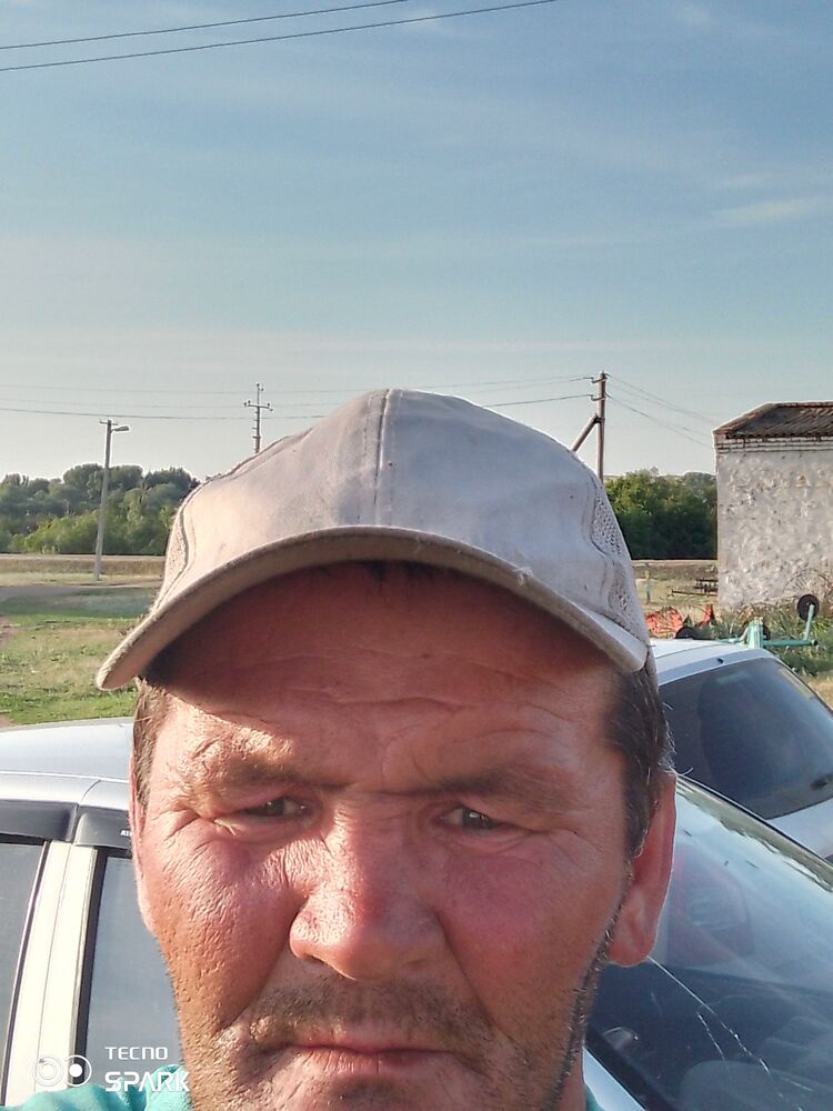  36505516  , 48 ,    