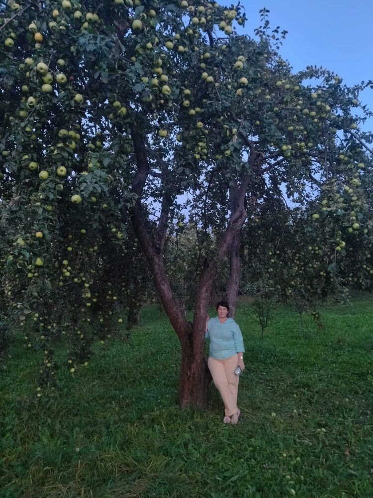 ���������� ������, ���� ������� ����, 52 ����, ������������ ��� c�������� ���������