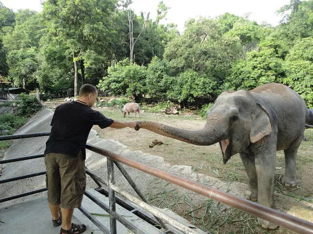 ���������� �����������, ���� ������� �������, 48 ���, ������������ ��� ������, ����� � ���������, ���������