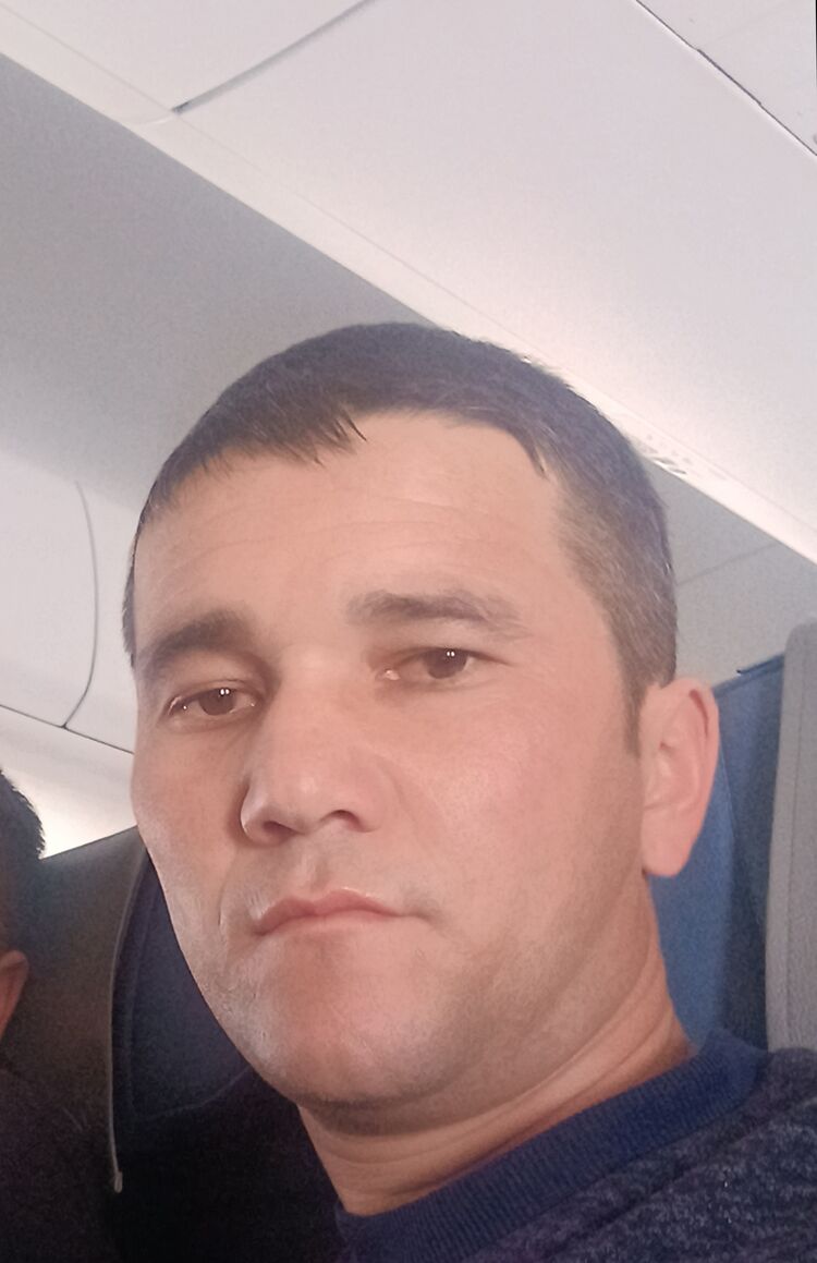 ���� 41601556 ������� �����, 34 ����, ���� ���������� � ����������