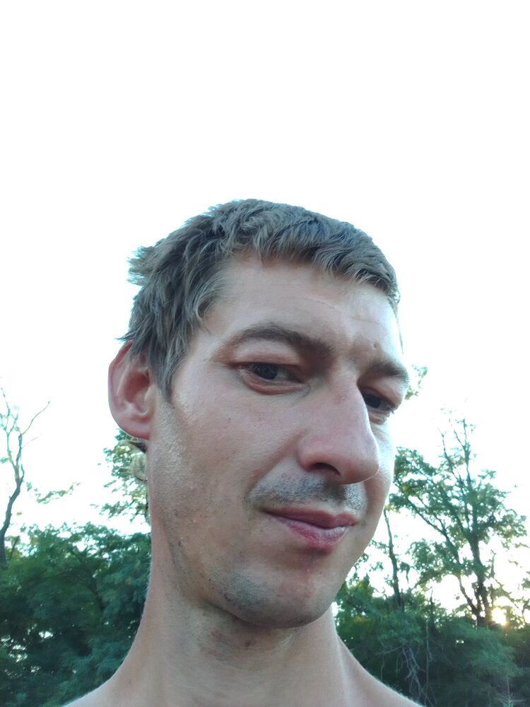  28081556  , 36 ,    --