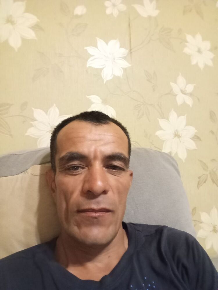  52715606  , 42 ,    