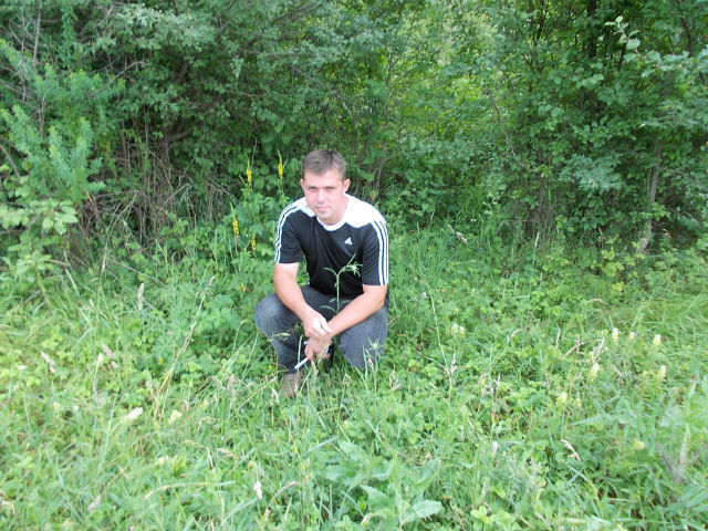 ���� 19078606 ������� ���������, 48 ���, ���� ���������� � ��������