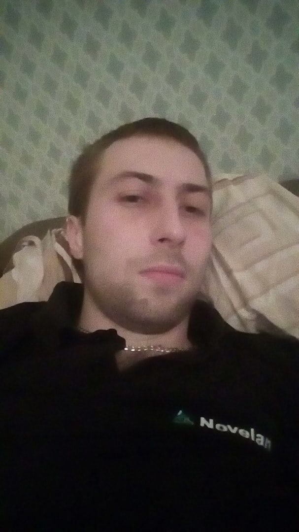  43613756  , 31 ,    