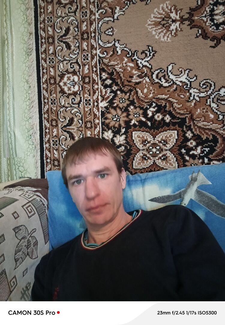  50541306  , 34 ,     