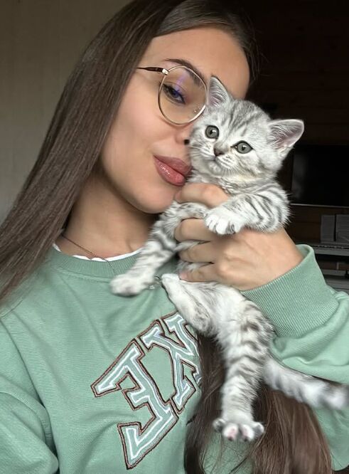 ���� 55646476 ������� �����, 28 ���, ���� ���������� � ����������