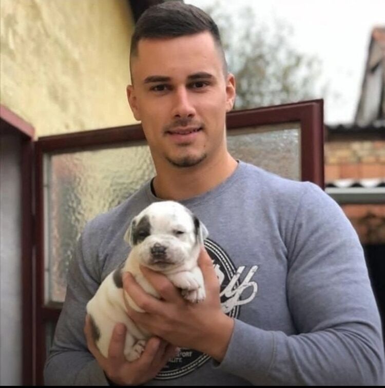 ���� 33611676 ������� ����, 38 ���, ���� ���������� � �����-����������