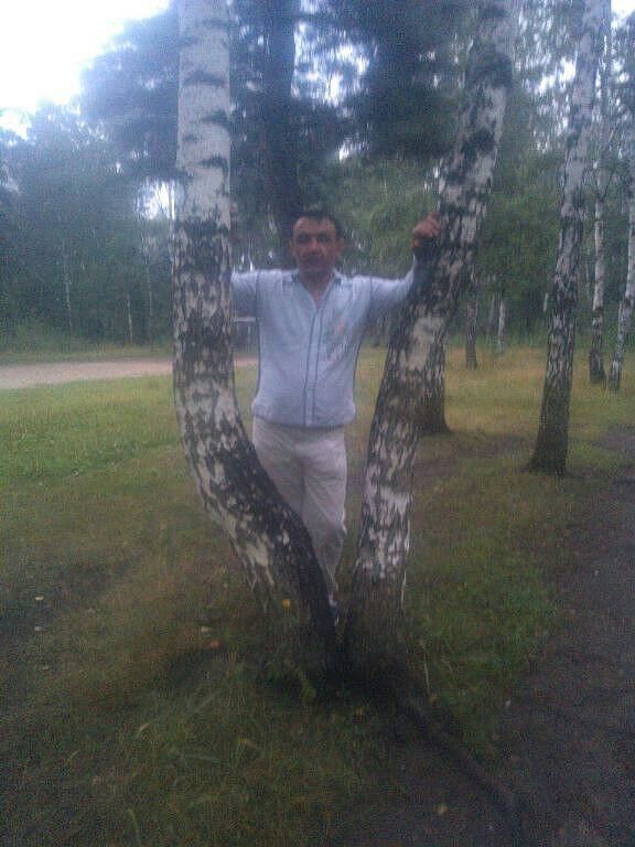 ���� 4994356 ������� �����, 50 ���, ���� ���������� � �������