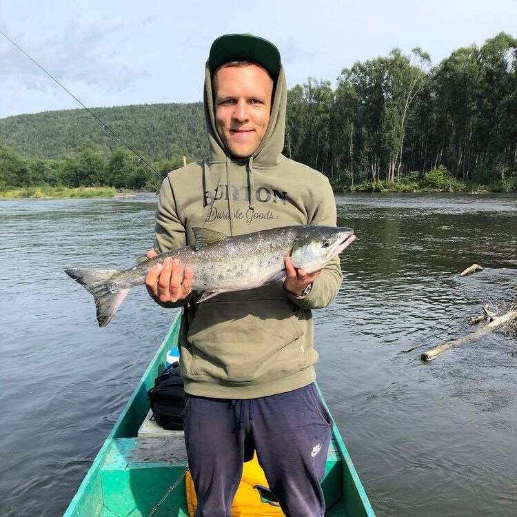 ���� 54699696 ������� ��, 36 ���, ���� ���������� � ��������