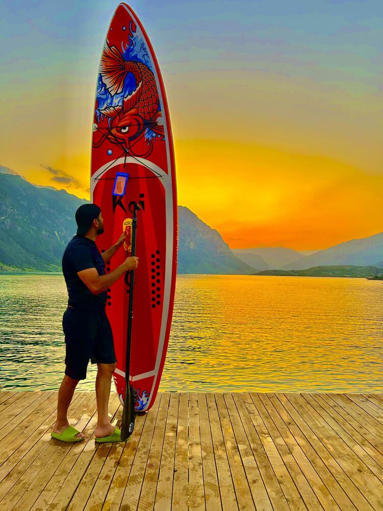  37073356  , 36 ,    -