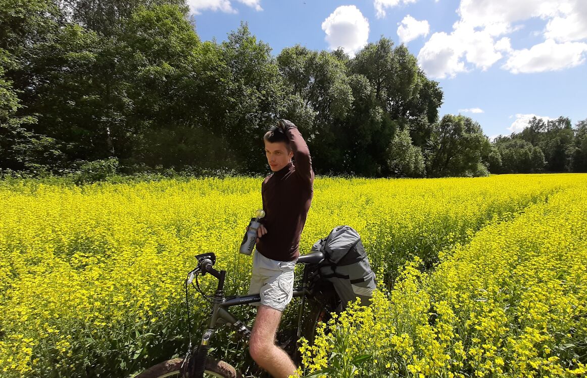 ���� 24479906 ������� �������, 29 ���, ���� ���������� � ������