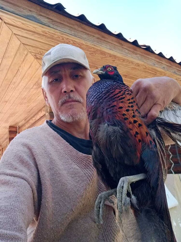 ���� 55794316 ������� �����, 58 ���, ���� ���������� � ������