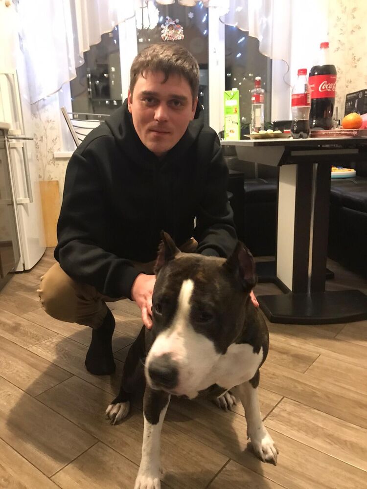 ���� 31213756 ������� �������, 35 ���, ���� ���������� � �����