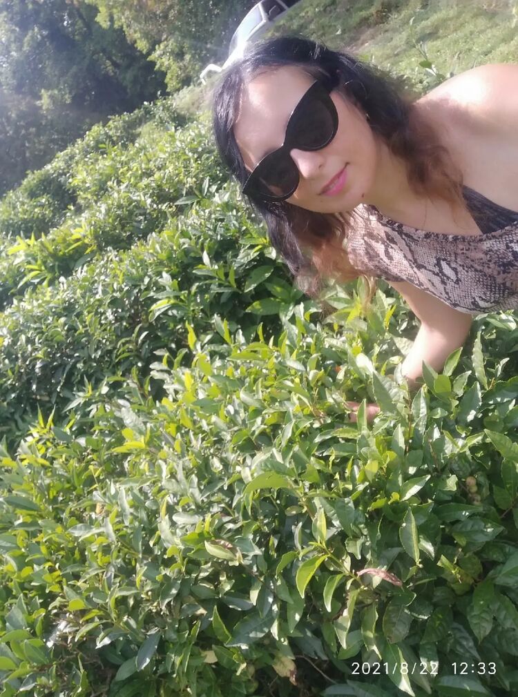  ,   Asti, 41 ,   