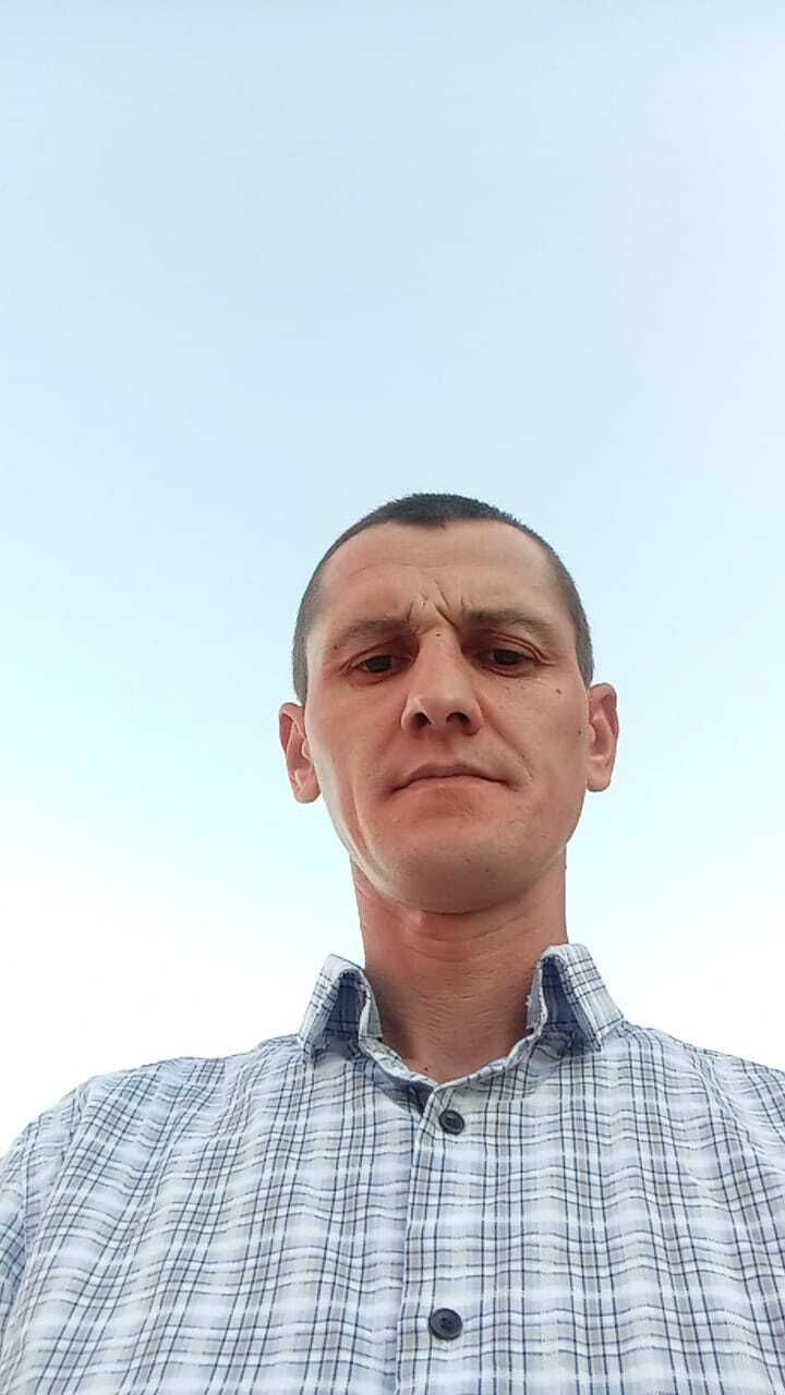  45595576  , 38 ,    