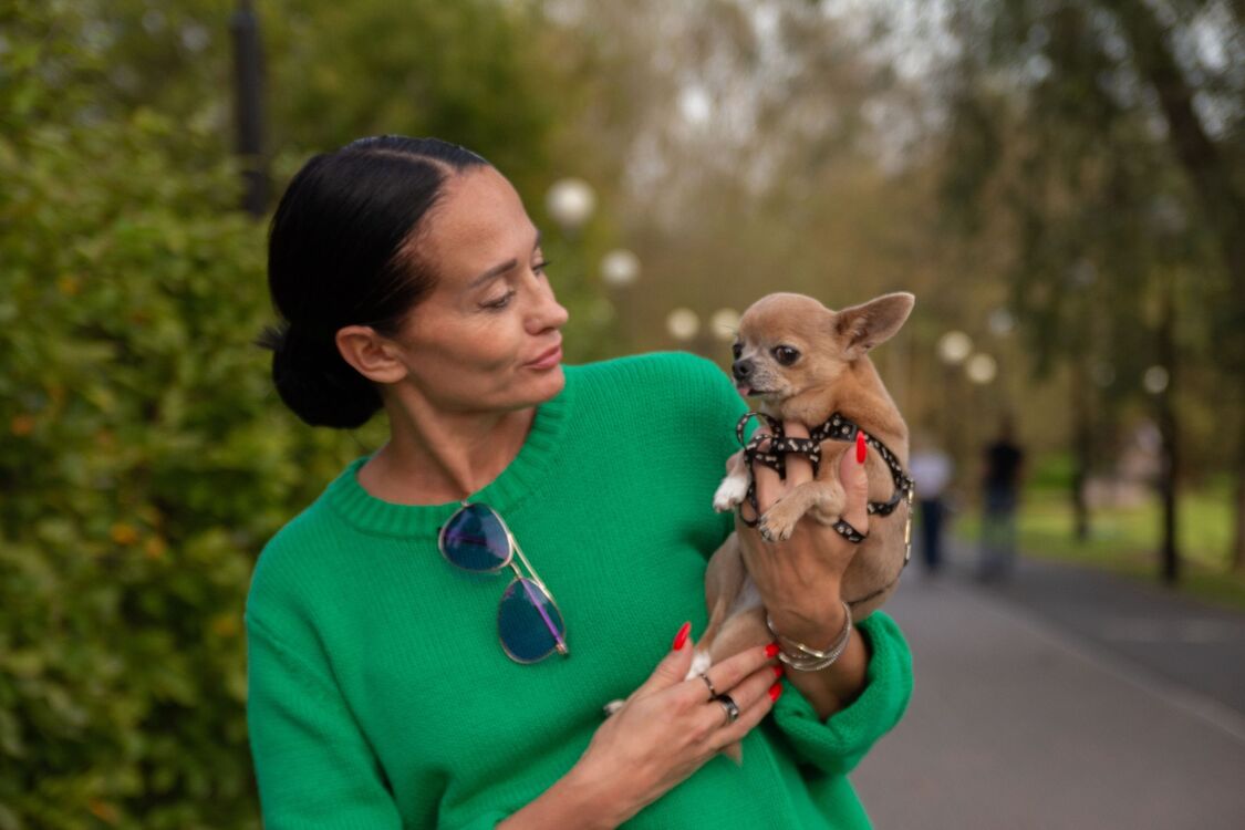 ���������� �����-���������, ���� ������� ���, 48 ���, ������������ ��� ������, ����� � ���������