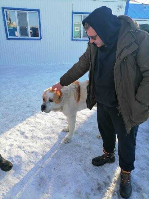 ���� 38123276 ������� �����, 36 ���, ���� ���������� � ������