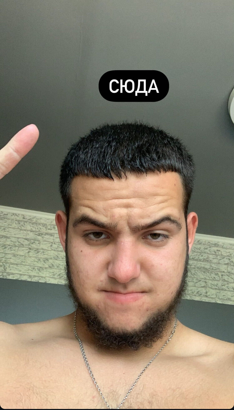  43494656  , 23 ,    