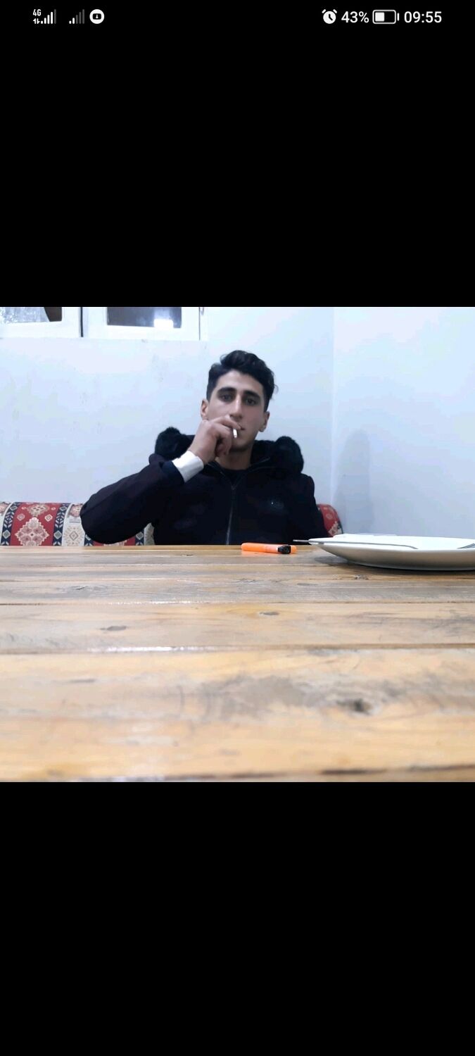  32336516  , 31 ,    