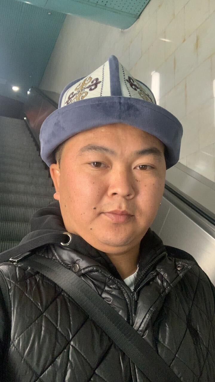  52981366  , 29 ,    -