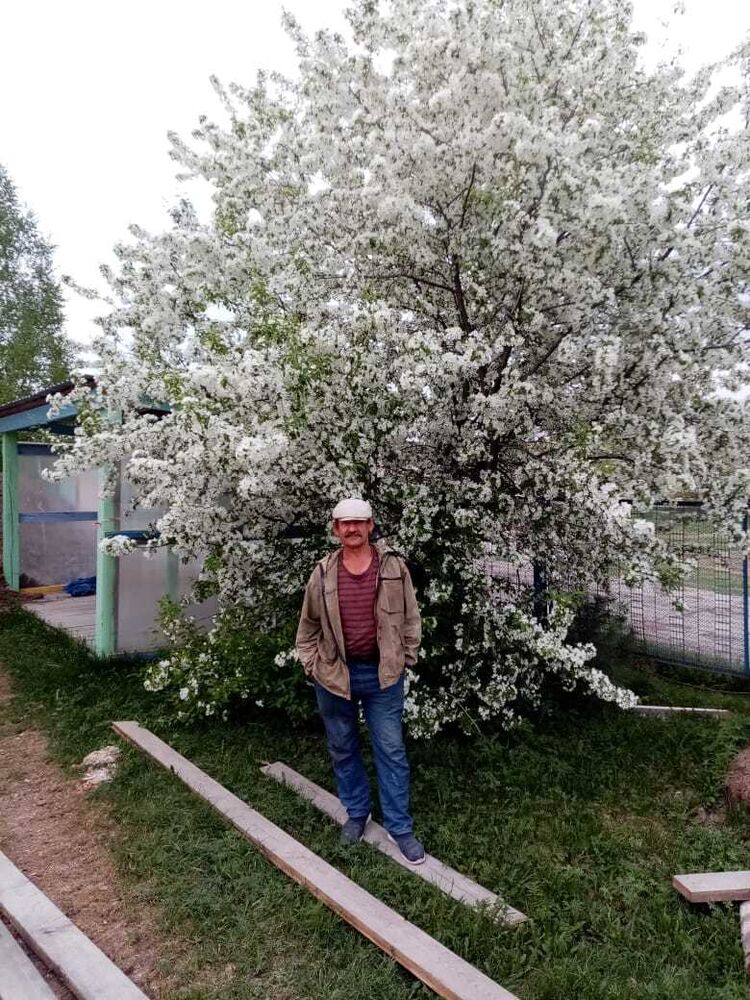  ,   , 55 ,   ,   