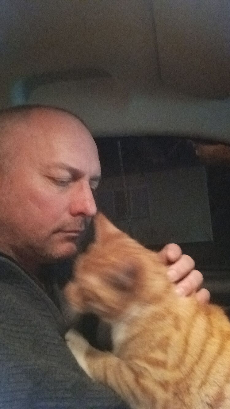 ���� 55026716 ������� ���������, 49 ���, ���� ���������� � �����������