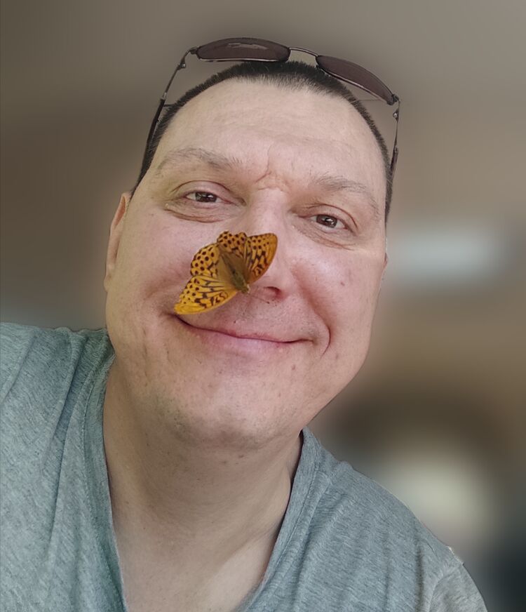  49130126  , 45 ,    