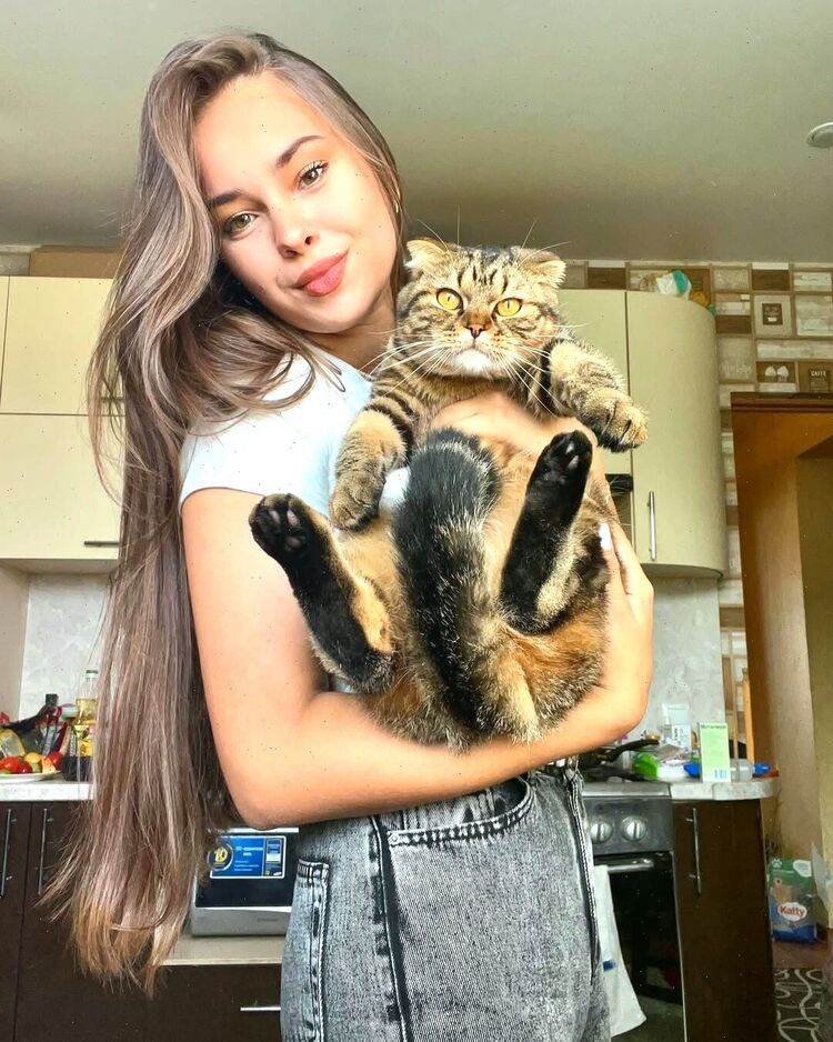 ���� 56135846 ������� ����, 28 ���, ���� ���������� � ����������