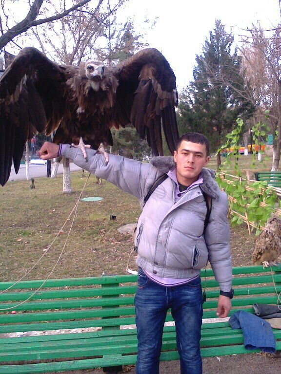  ,    , 31 ,   ,   , c , 