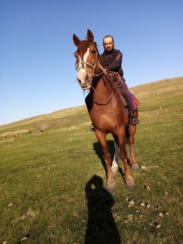 ���������� �����-���������, ���� ������� ��������, 34 ����, ������������ ��� ������, ����� � ���������