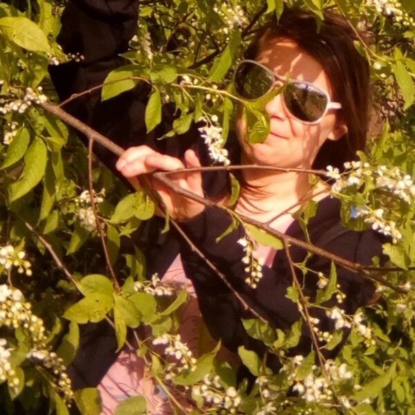 ���� 55528496 ������� ��������, 31 ���, ���� ���������� � �������