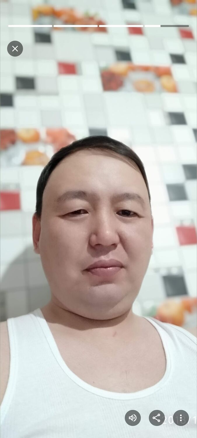 ���� 54961166 ������� ����, 44 ����, ���� ���������� � ��������