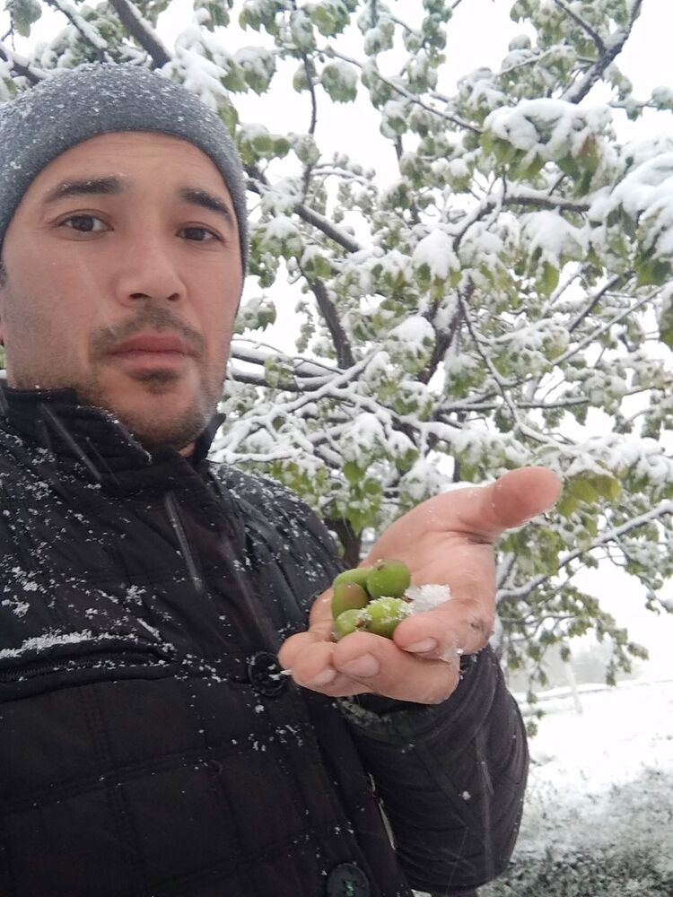 ���� 19878216 ������� �����, 36 ���, ���� ���������� � ����������