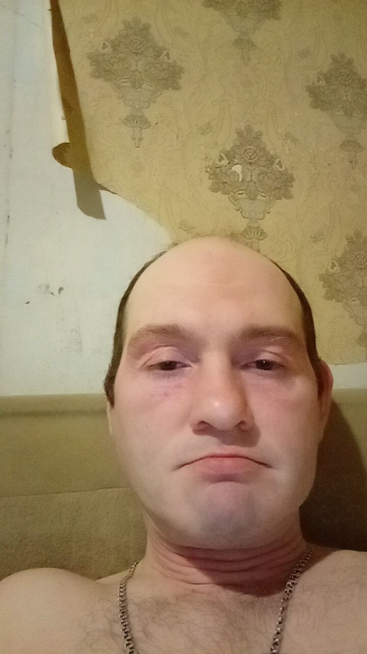 41962486  , 43 ,    