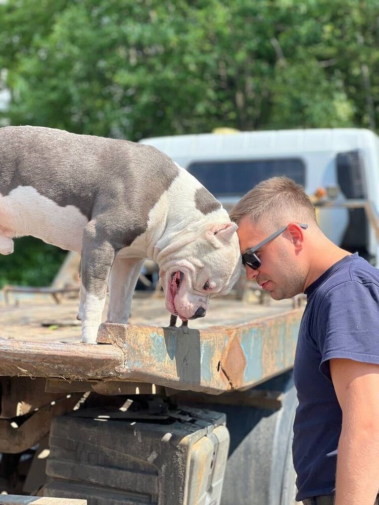 ���������� �����-���������, ���� ������� �����, 31 ���, ������������ ��� ������, ����� � ���������, ���������