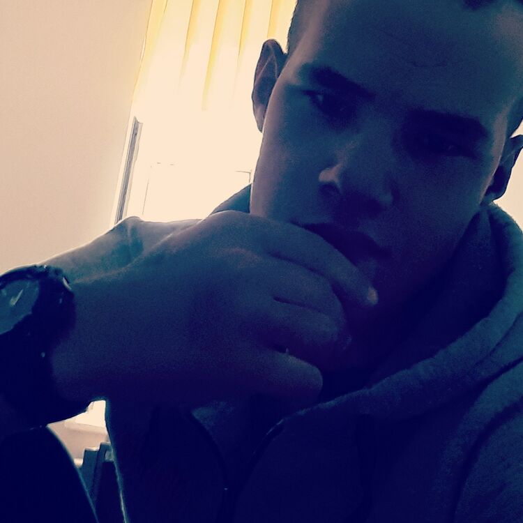  34317686  , 26 ,    