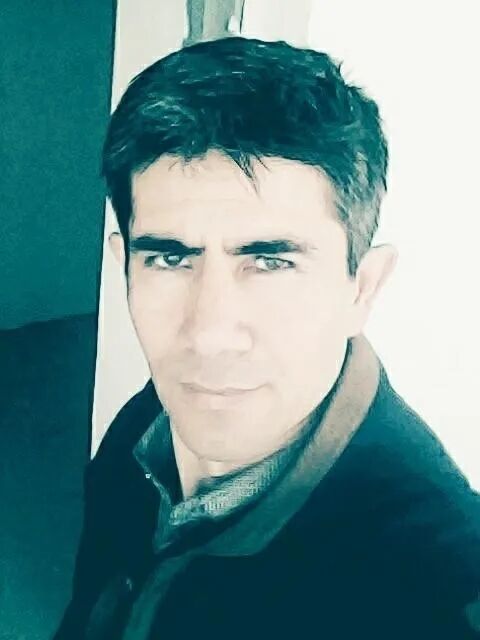 ���� 45501416 ������� ����, 43 ����, ���� ���������� � �����-����������