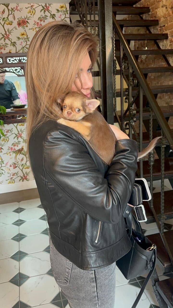 ���������� ������-��-����, ���� ������� ��������, 39 ���, ������������ ��� ������, ����� � ���������, c�������� ���������, ���������