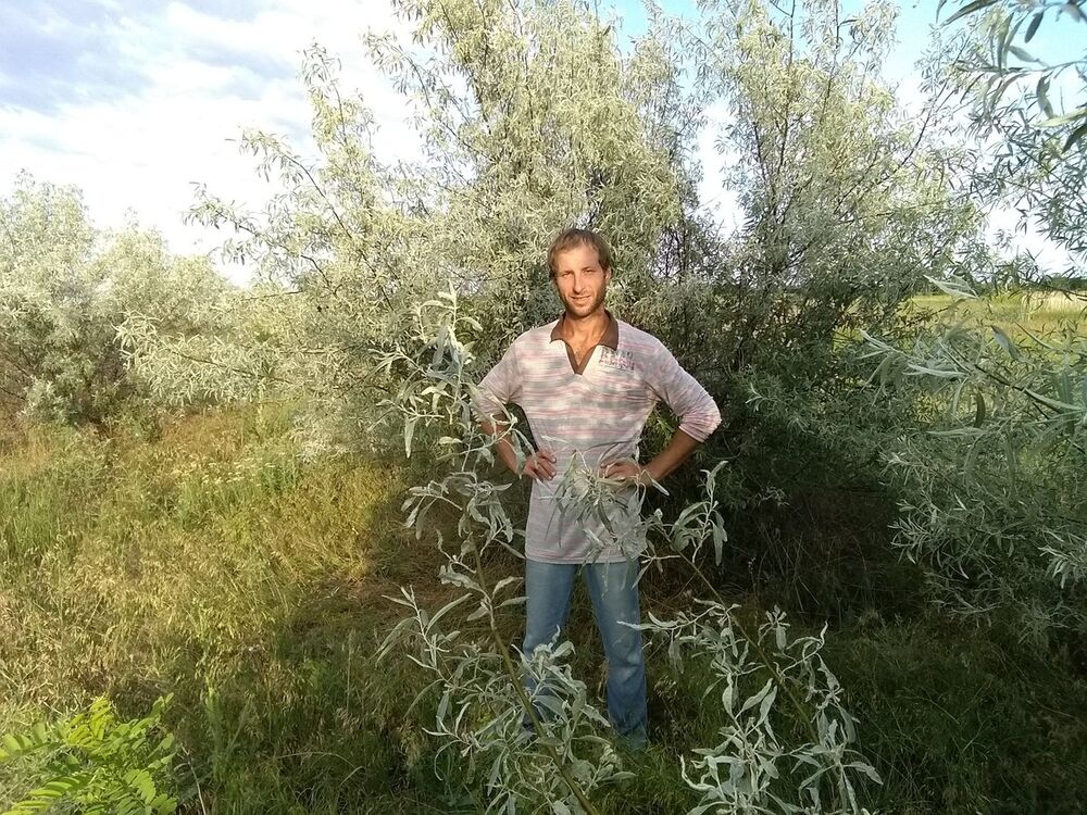 ���� 16707496 ������� ��������, 38 ���, ���� ���������� � �������