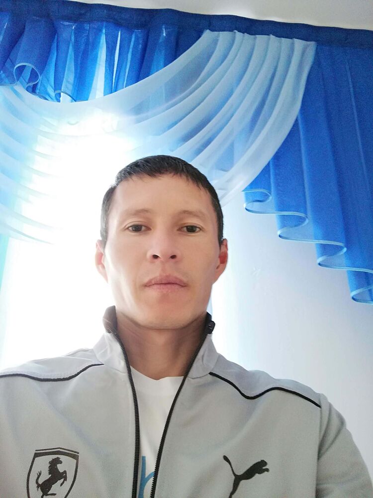  30781716  , 41 ,    