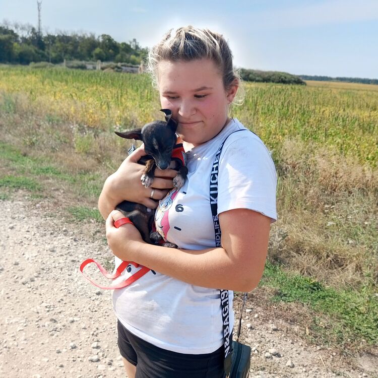 ���� 50994316 ������� ����������, 19 ���, ���� ���������� � �����