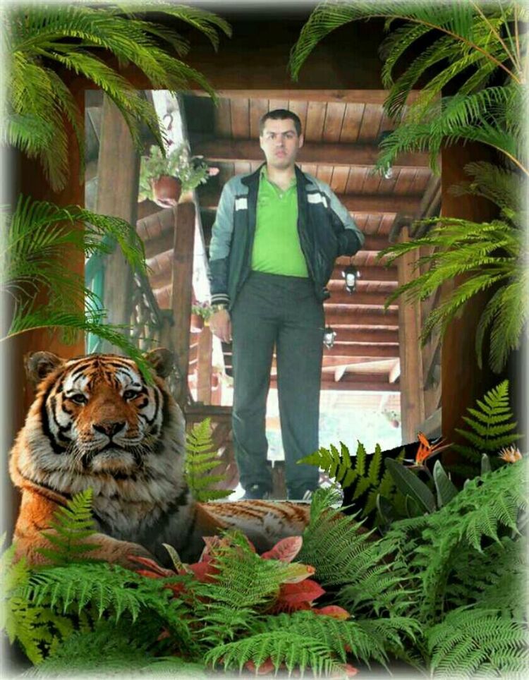 ���� 22377926 ������� ���������, 41 ���, ���� ���������� � ����������