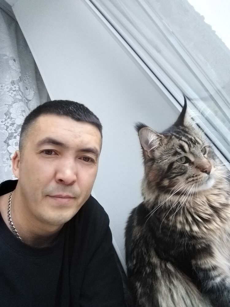  ,   , 41 ,   ,   