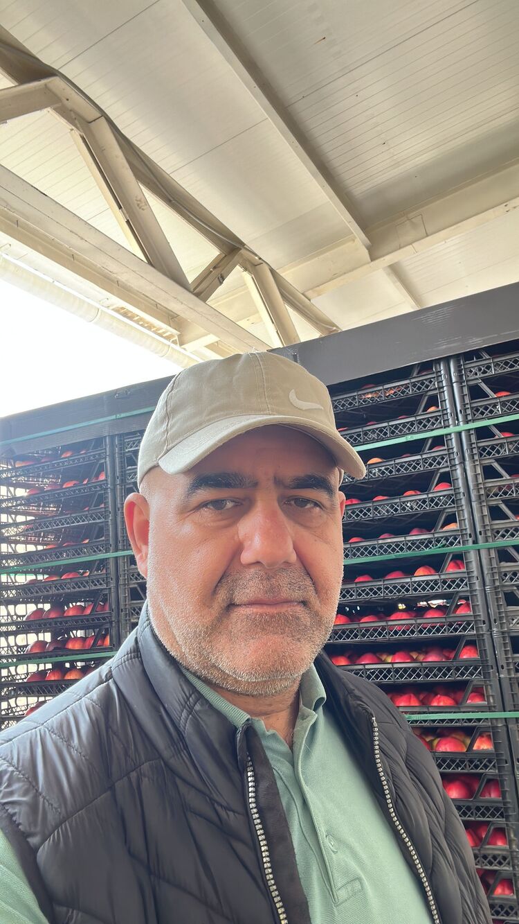  ,   , 45 ,   ,   