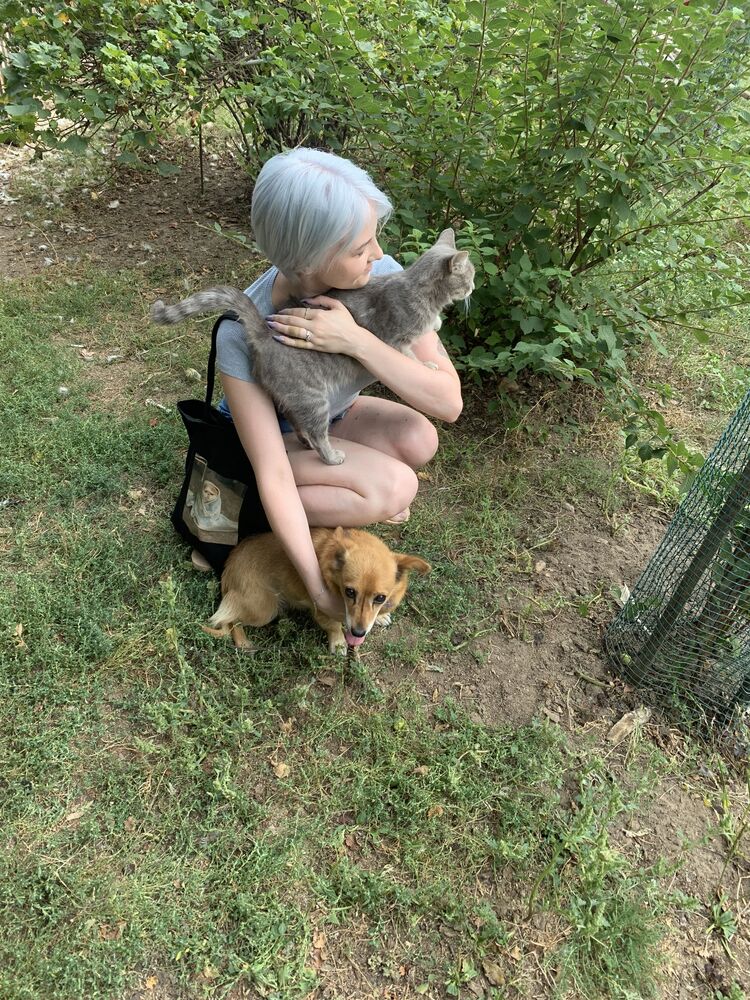 ���������� ������, ���� ������� ������, 28 ���, ������������ ��� ���������