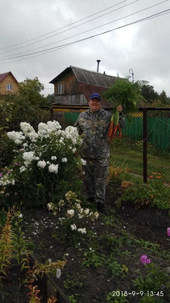  16476226  Vladimir, 36 ,    